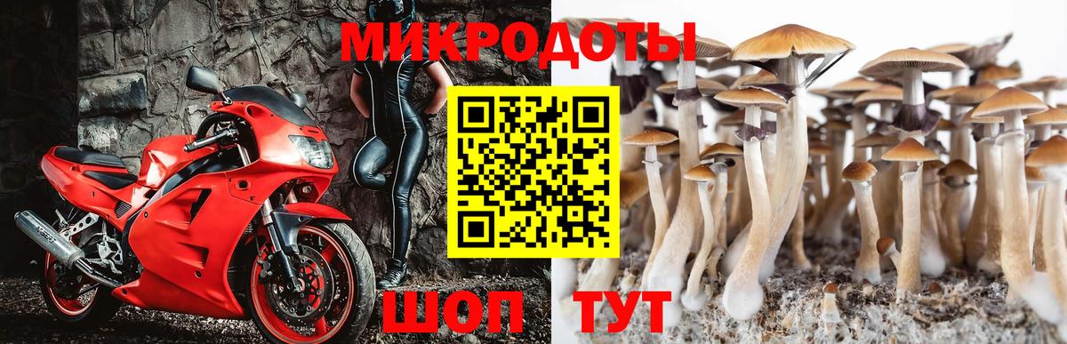 Псилоцибиновые грибы Magic Shrooms Валуйки
