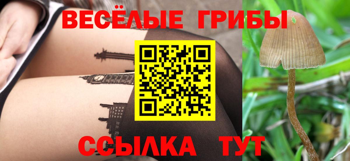 Галлюциногенные грибы Cubensis  Галлюциногенные грибы Magic Shrooms  Вход с VPN  Валуйки 